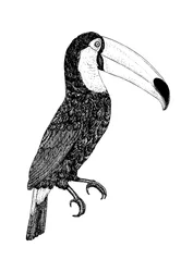 Toco - zwart-wit