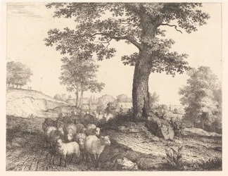 Herder en kudde onder een oude boom