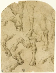 Schetsen van de benen van paarden (of dromedarissen) (recto); kolommen (verso)