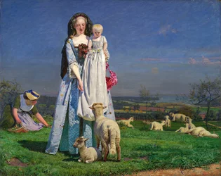 Mooie Baa-Lammetjes