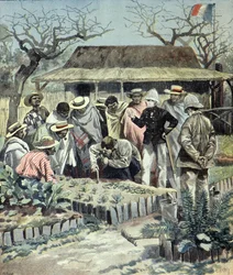 De Fransen geven landbouwles aan de inheemse bevolking in Madagaskar in 1897 (Gravure)