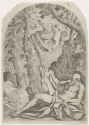 De heilige Hieronymus