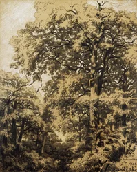 Bos van Fontainebleau