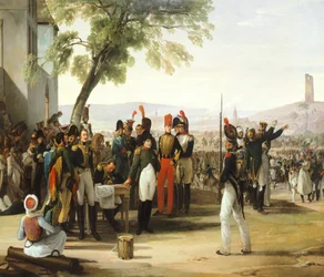 Napoleon na de Slag bij Wagram