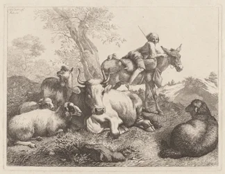Jongen op een ezel die een groep dieren bewaakt