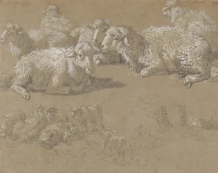Liggende Schapen in een Landschap