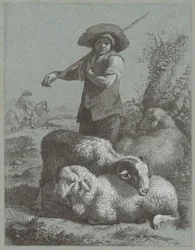 Herderjongen met schapen