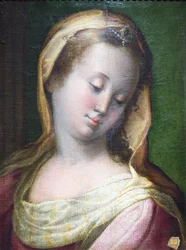 Hoofd van Madonna