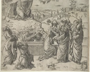 De Tenhemelopneming van de Maagd