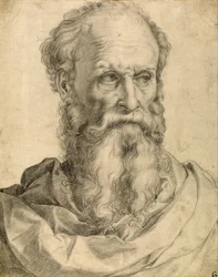 Hoofd en schouders van een man met baard