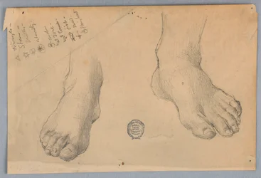 Studie van Voeten