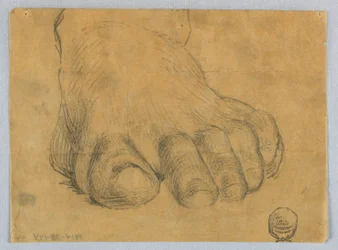 Studie van linkervoet