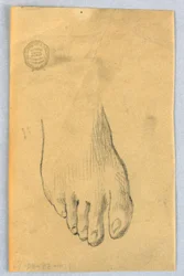 Studie van rechtervoet