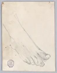 Studie van Rechtervoet