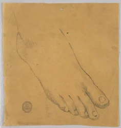 Studie van een rechtervoet