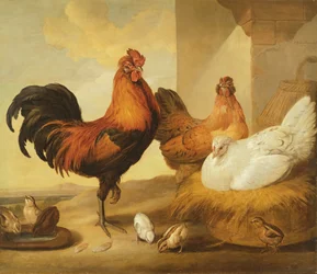 Tamme haan, hennen en kuikens, 1655