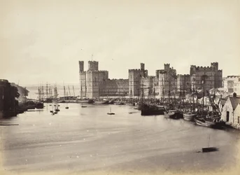 Kasteel van Carnarvon en riviermonding (578)
