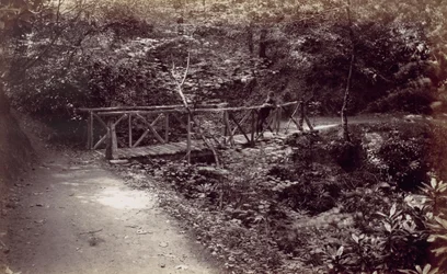 Colwyn Bay. Rustieke Brug in het Bos