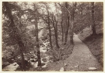 Dolgelley, Zicht in Torrent Walk