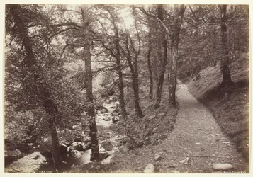 Dolgelley, uitzicht in Torrent Walk, 1860-94