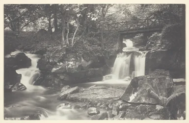 Glen Lyn, de Rustieke Brug, 1860-94