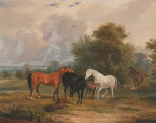 Paarden grazen: Merries en veulens in de wei