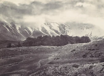 Verre Zicht op de Ceders van Libanon, ca. 1857