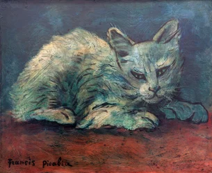 De kat