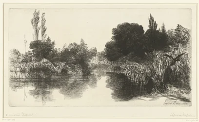 Vijver