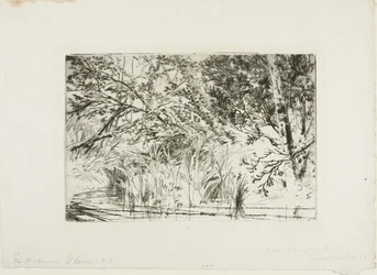De monding van een beek, nr. II
