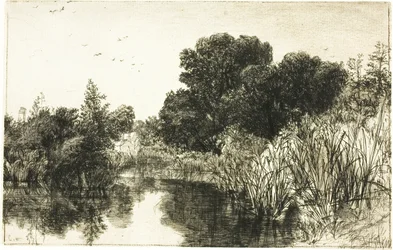 Shere Mill Pond, No. II (grote plaat)