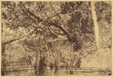 De Mond van een Beek No.1
