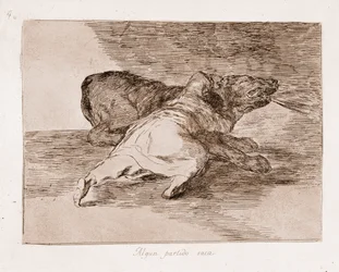 De rampen van de oorlog: Hij plukt er wat vruchten van (gravure uit de voorbereidende tekening)