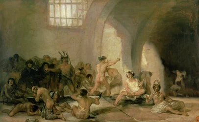 Het Gekkenhuis