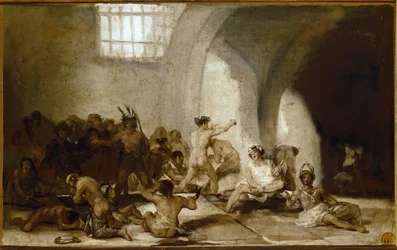 Het gekkenhuis