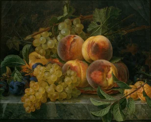 Stilleven