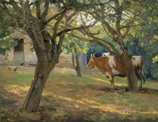 De boomgaard van meneer Juan – 1930/36