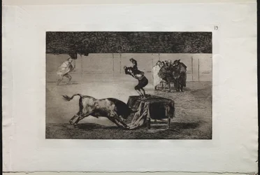 Stierengevechten: Een andere waanzin van hem in dezelfde ring, 1876