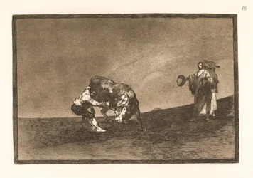 Dezelfde man trekt een stier omver in de arena van Madrid