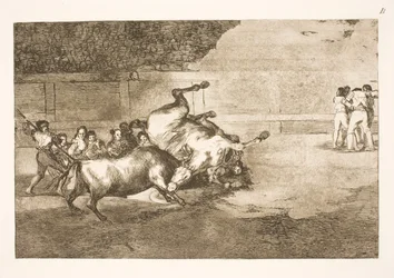 Paard wordt door een stier tegen de grond geslingerd