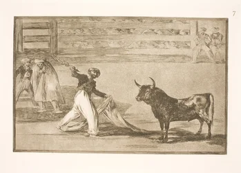 De oorsprong van de harpoenen of banderilla