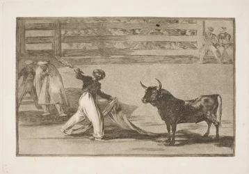 De Oorsprong van de Harpoenen of Banderilla