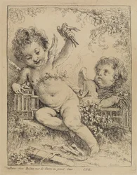 De tortelduif in de kooi