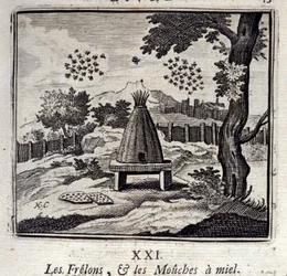 Horzel en Honingbijen