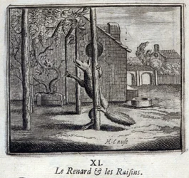 Illustratie uit de 