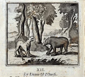 De Leeuwin en de Beer