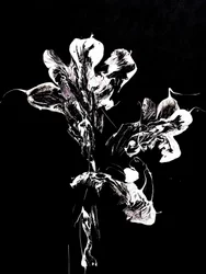 Vloeibare donkere bloemen