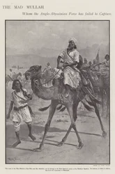 Mohammed Abdullah Hassan, de "Gekke Mullah", Somalische religieuze en militaire leider