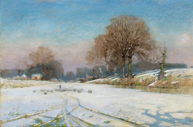 Schapen hoeden in de winter