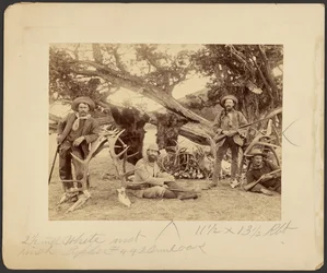 Gezelschap van Lispenard Stewart, #6 - 5th Ave., N.Y. met trofeeën bij de oude cederboom, Mammoth Hot Springs, Nationaal Park Yellowstone